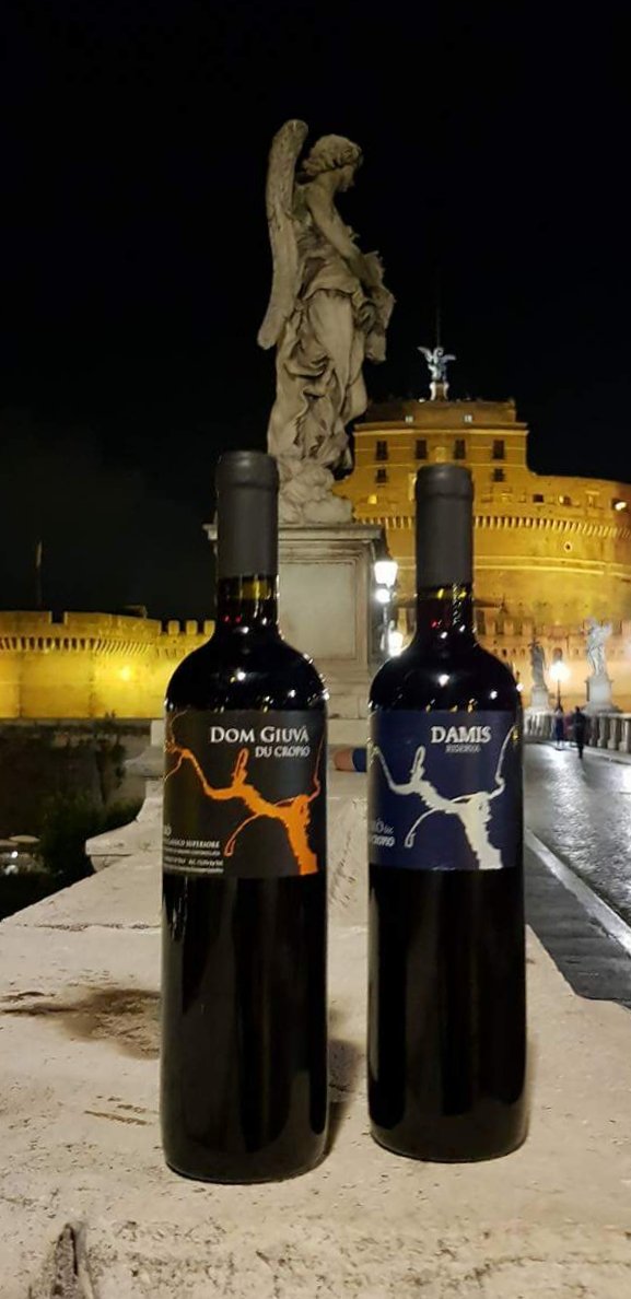 Ducropio's tweet photo. nell' UNICITA'... L'ECCELLENZA di grandi rossi
DU CROPIO Vinery
#DuCropioVinery #Calabria #Gaglioppo #winelover #winetasting #eccellenze https://t.co/1XCwPugO2L