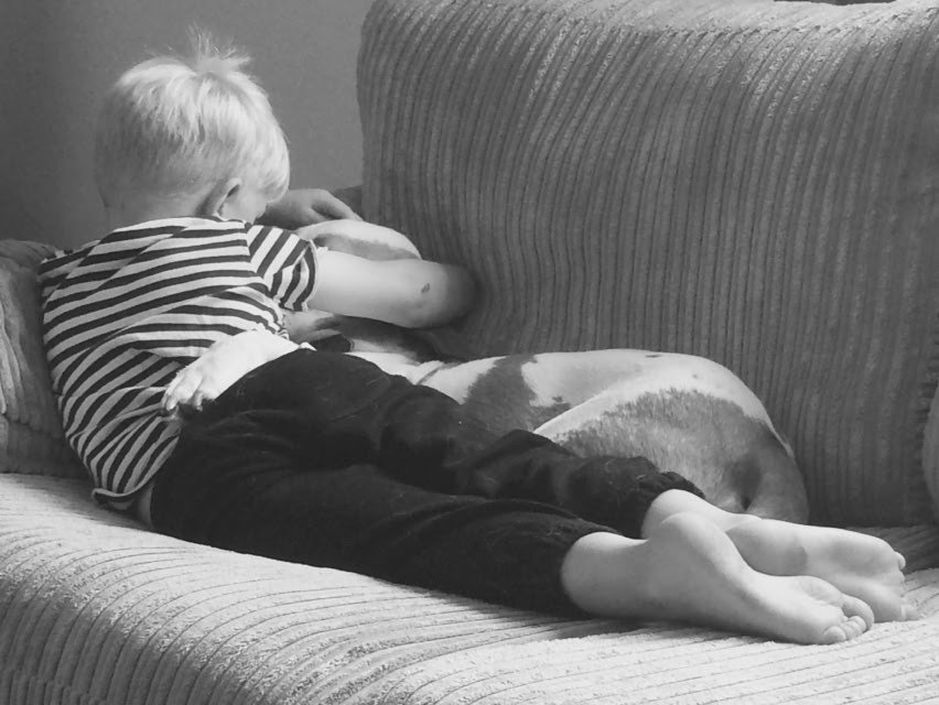 codylong59's tweet photo. Busy this morning telling secrets 😄 #childrenanddogs #SimplePetLove @simplepetlove @DogHouseTown @TherapyHound @iansomerhalder https://t.co/6IjA2jv61e