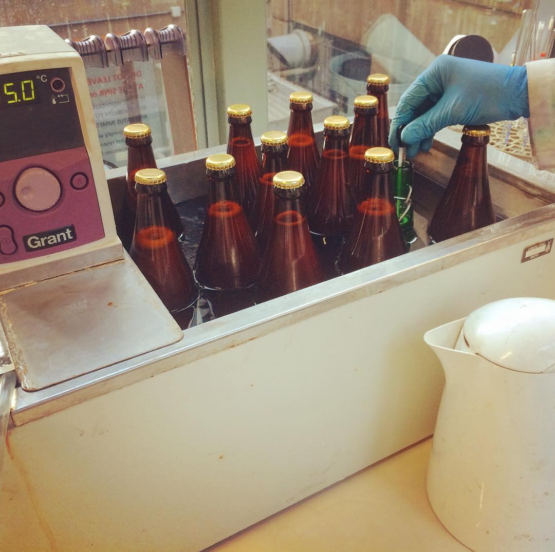 Witsmicrobrew's tweet photo. Not what a lab water bath is normally used for! Pasteurizing our grape fruit IPA for #Sabintervarsity https://t.co/DYZ66Urexa