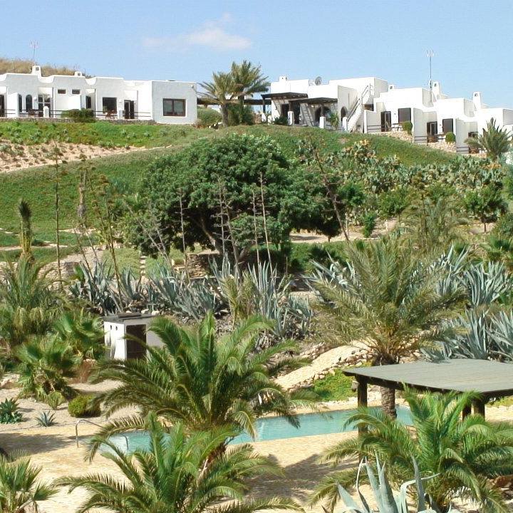 Se va terminando la temporada d #laalmendrayelgitano... Aprovecha lo que queda en un paraje único... #aguaamarga #cabodegata #almeria #nijar
