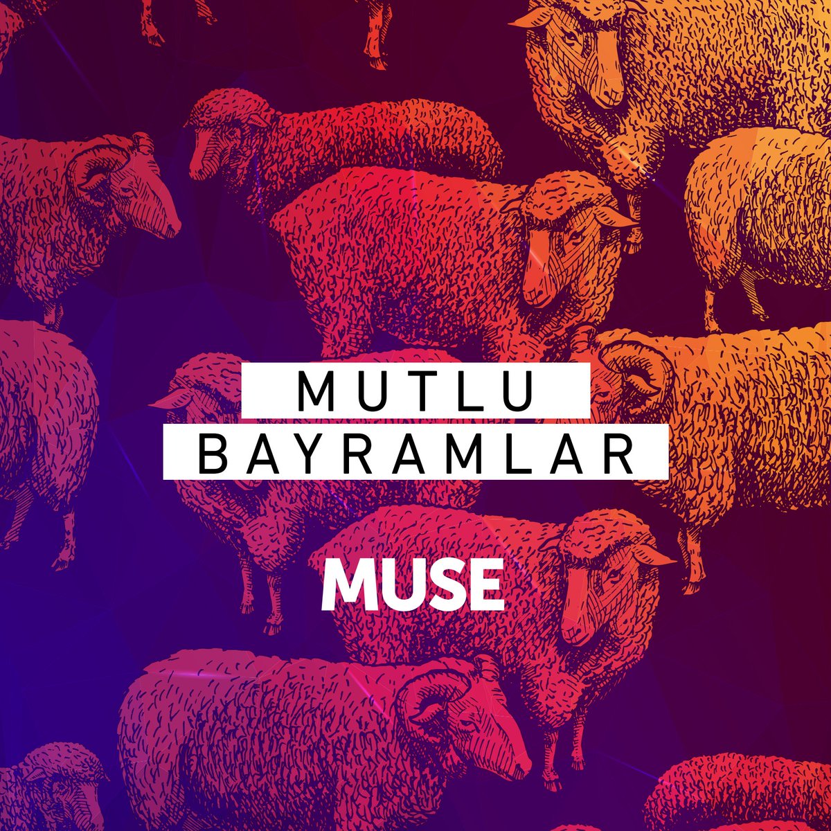 Muse Istanbul tweet media