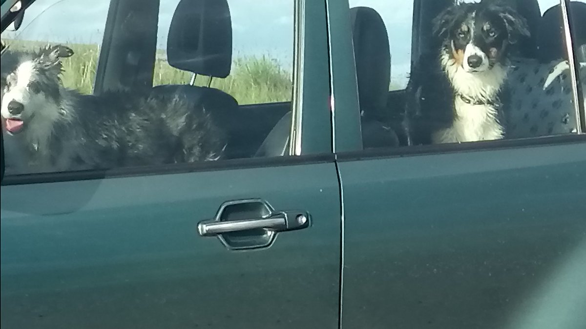 sarah342w's tweet image. @GOoutdoors come on let&apos;s get going #GoRoadTrip