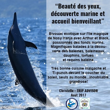 BaleinesRandeau's tweet photo. Un commentaire au top pour débuter la journée ! 
Heureux ! https://t.co/autQEJLL3S