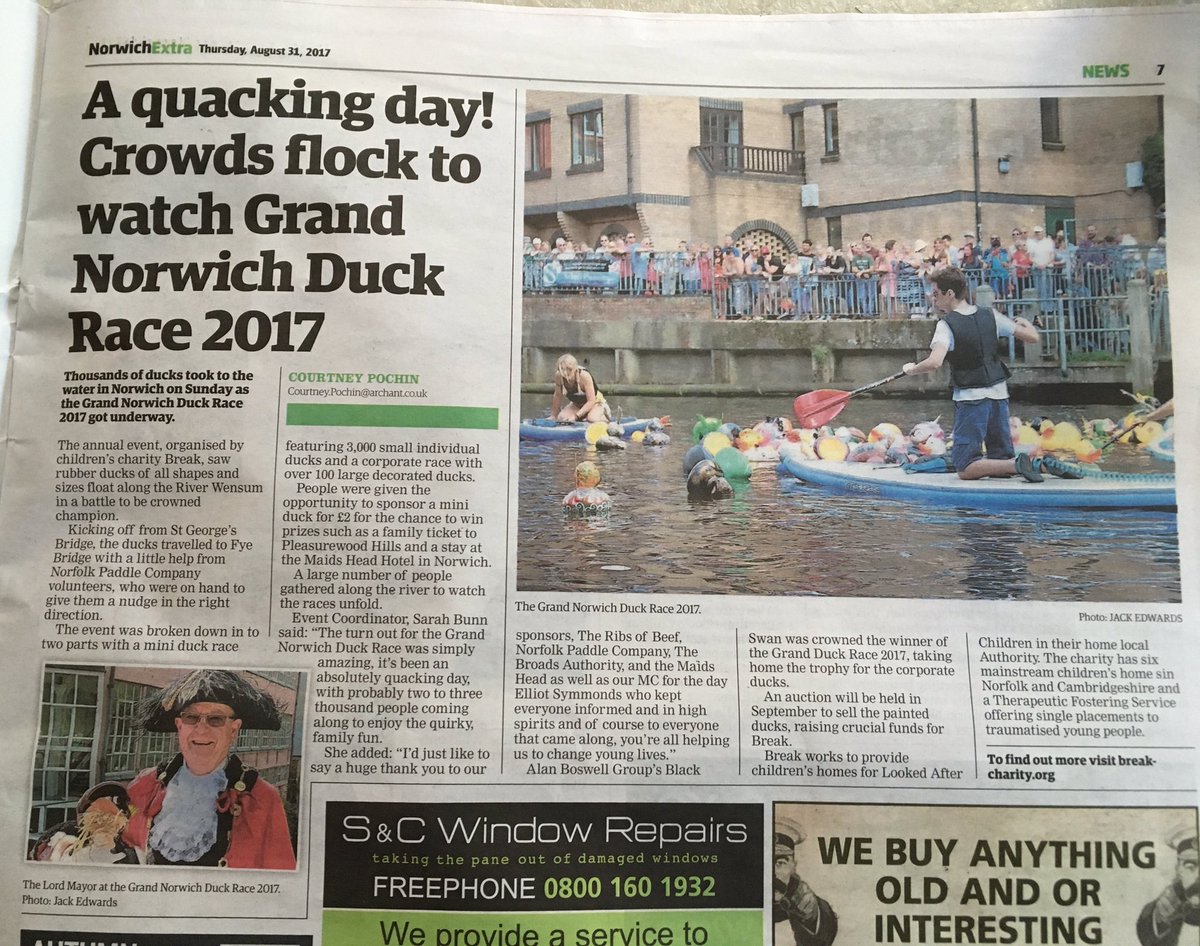 GoGoSafari tweet media