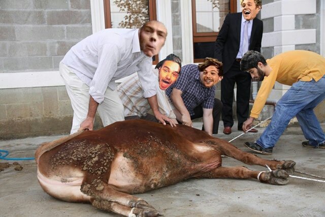 gnflovee's tweet photo. BUNU KİM YAPMIŞTI YA ZJDBDJDBFKTNGLGNCL
#OneDirectionBayramda https://t.co/jw6KWAuomd