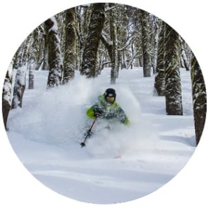 HimalayaTouris3's tweet photo. #Skiing is your source for the best #himalayatourism, travel to the best himalaya tourism resorts and destinations. https://t.co/Ir9g5QQdjR https://t.co/rXA7XUEuiU