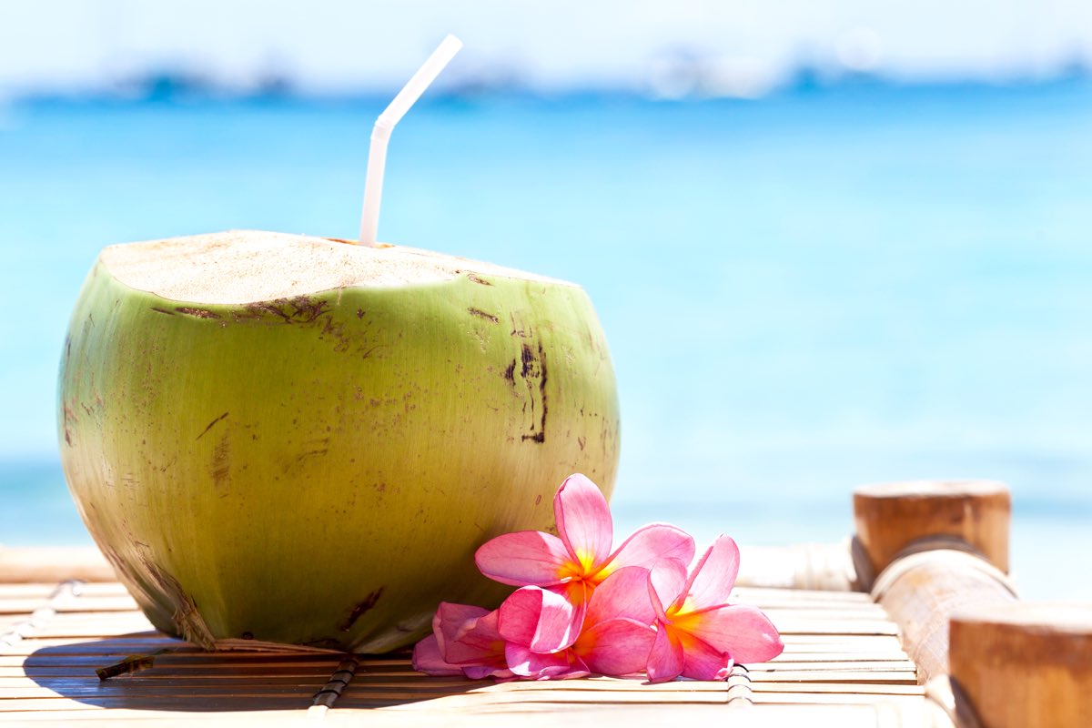 fuzion100uk's tweet photo. The coconuts used for our sparkling coconut water are picked in the morning and canned on the same day! #GuaranteedFreshness #Fuzion100 🌴 https://t.co/NXWCLk9z91