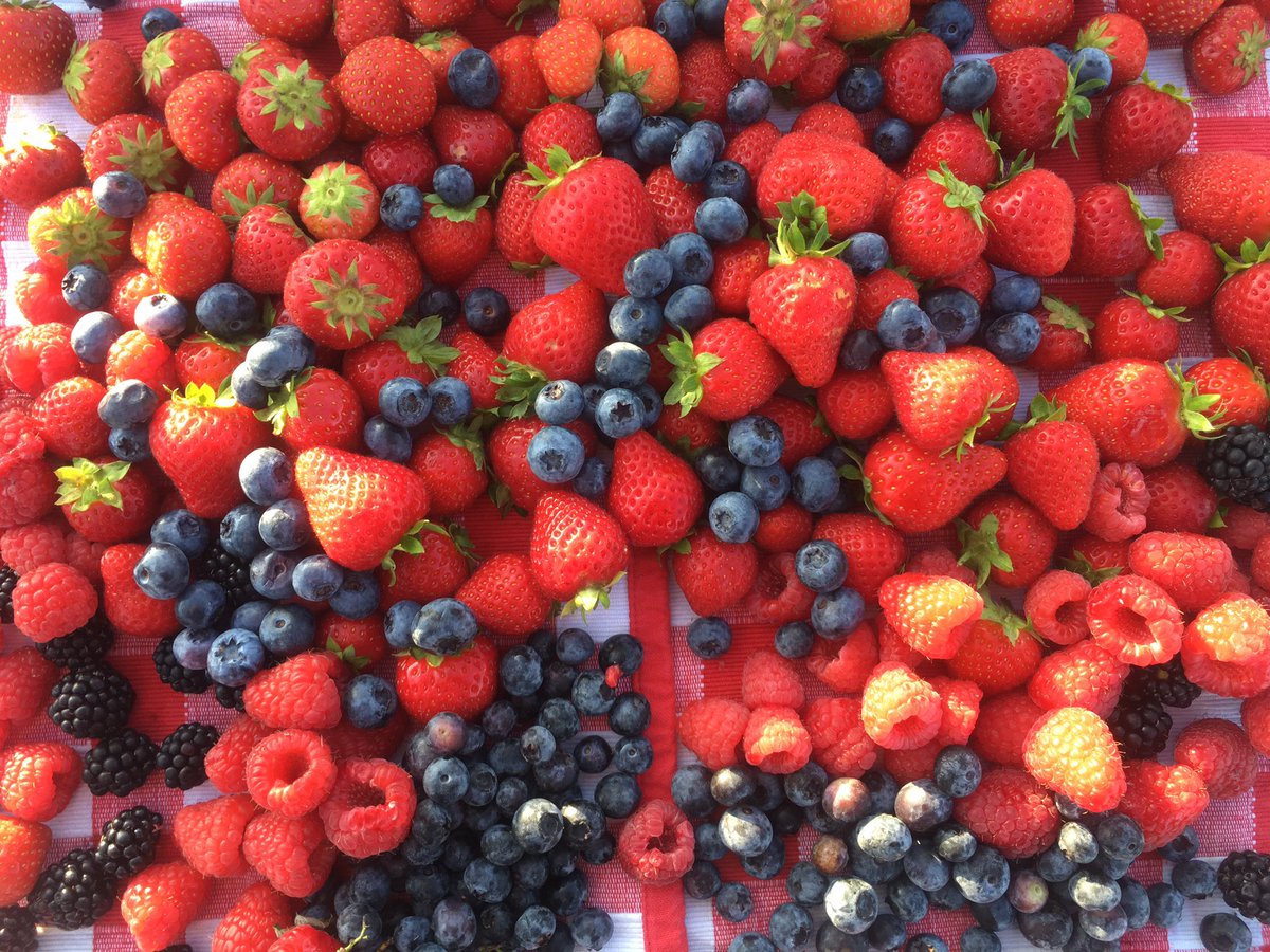 Ontbijt tijdens <a href="/ontwakendland/">ontwakendlandschap</a> in Heeg, door <a href="/PIER21theater/">Pier21</a>  en <a href="/SFYN_Fr/">SFYN Fryslân</a>. Lekker ite!