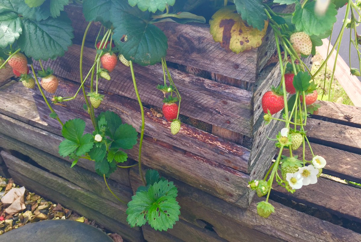 Lovely meeting at Rosie Leas at Setley Ridge yesterday. So many lovely bits I need to go back for photos and a little retail therapy.