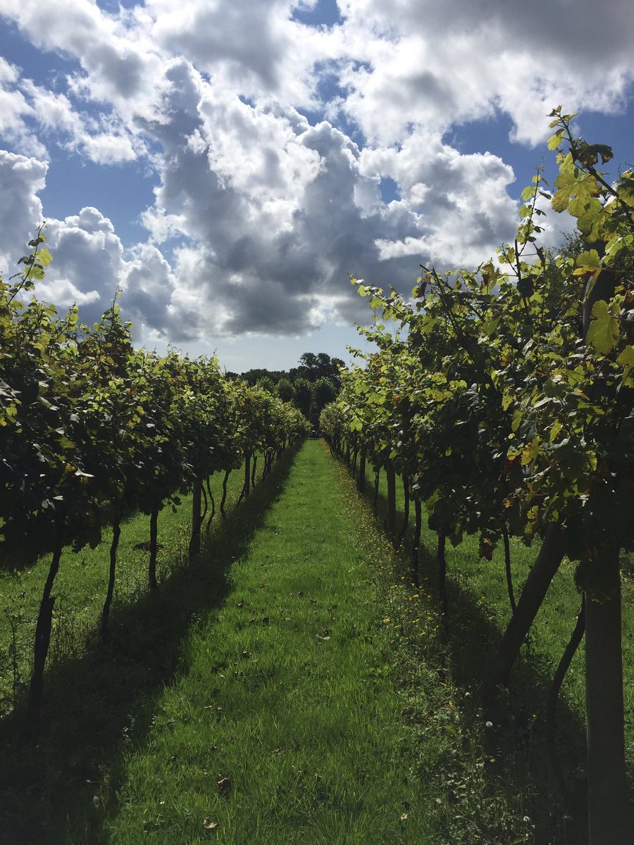 pitman_rachael's tweet photo. Lovely meeting at Rosie Leas at Setley Ridge yesterday. So many lovely bits I need to go back for photos and a little retail therapy. https://t.co/yAYsWnf1yW