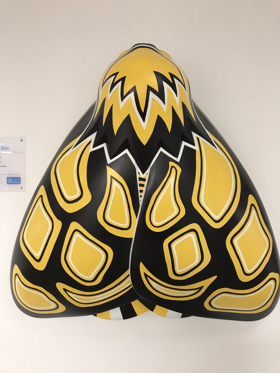 Chestcracker's tweet photo. @SheffieldAlumni never knew Amy Johnson & I had something in common i.e. Sheffield alumnus #mothforAmy https://t.co/7i3XzhsPFU