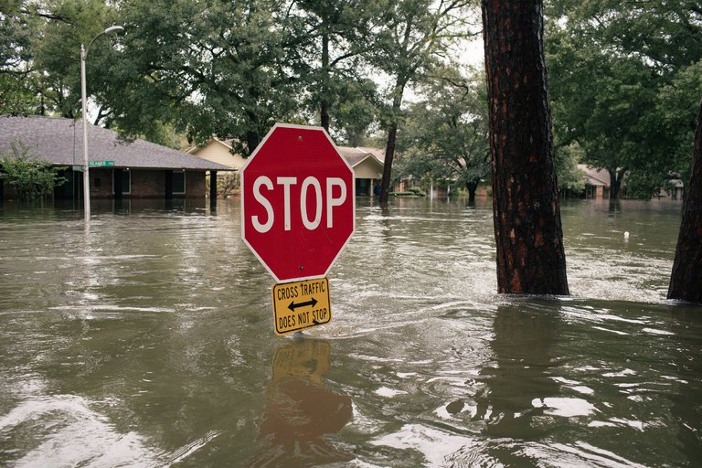 MichaelDell's tweet photo. I grew up in Meyerland neighborhood in Houston. Now it looks like this. Please join us and we'll match your gift https://t.co/oINNStvZd4 https://t.co/3VMudbiZy6