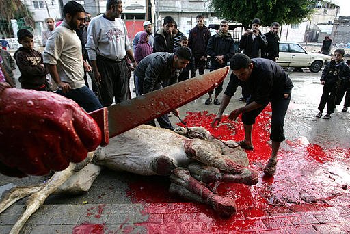 raafatt_'s tweet photo. War for the planet of the buffalos https://t.co/7tZRXxwu0J
