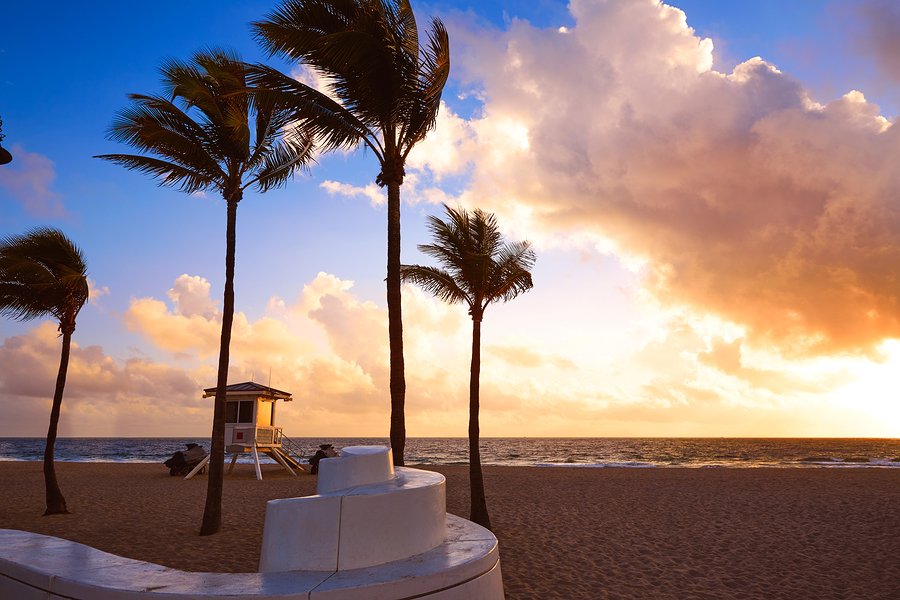 TheOceanFTL's tweet photo. This is what mornings in #FortLauderdale look like. #owndifferent #owntheocean https://t.co/n2xJKtfp7f