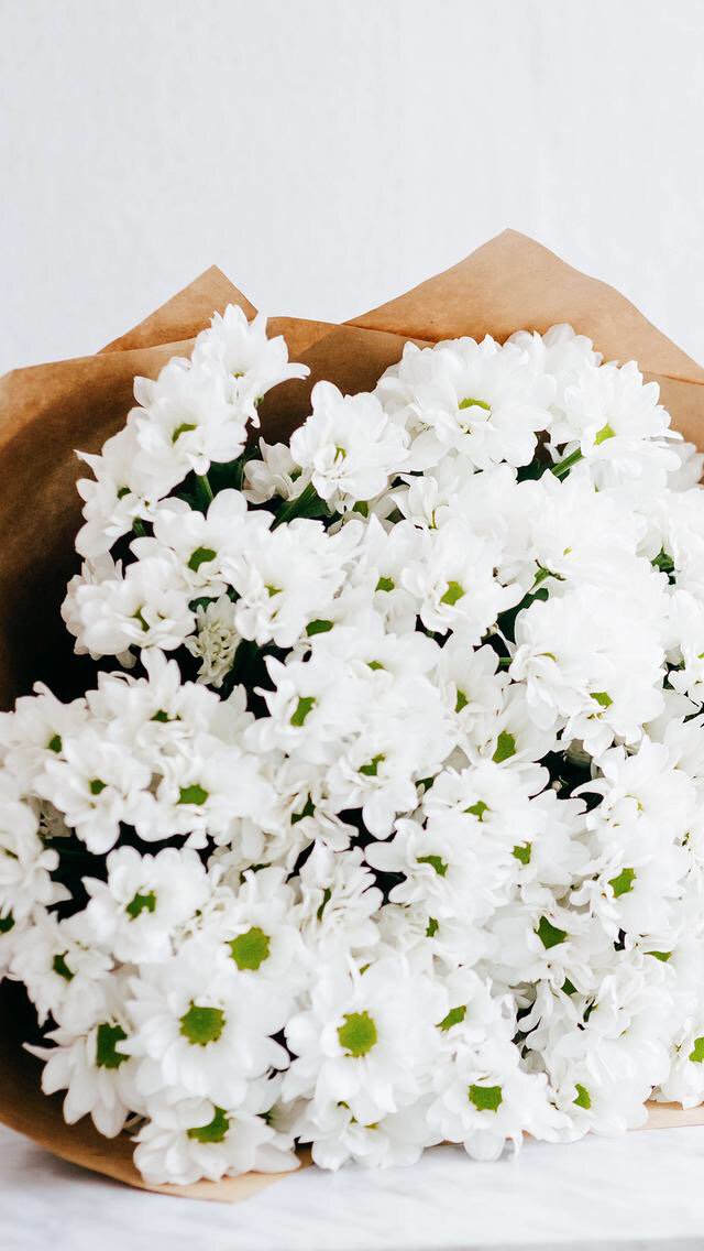 Sveiciens visiem jauniešiem Zinību dienā! 💐☺✨
Veiksmīgu un neaizmirstamu jauno mācību gadu! 😉🌸✨