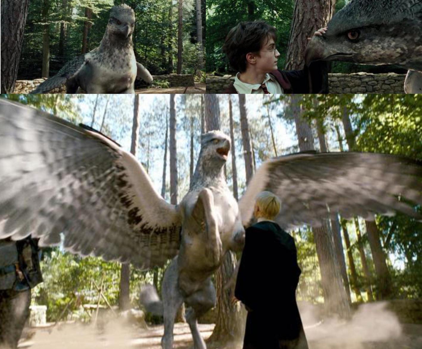 Harry Potter World on X 2 September 1993 Hagrid teaches his first lesson of Care of Magical Creatures where Draco is injured by Buckbeak. https t TwllT67LIt X