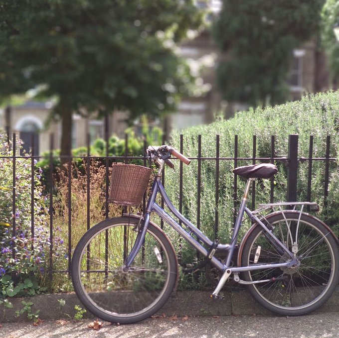 View image on Twitter View image on Twitter