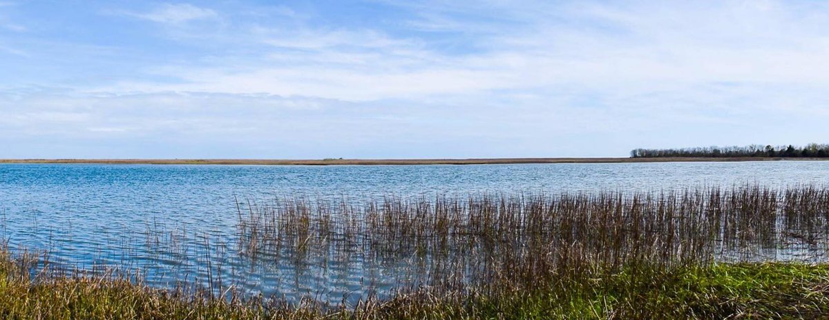 scnbta's tweet photo. https://t.co/Q9Y9H6XpRm #LABORDAY weekend-Campsites overlook Cape Romain Nat'l Wildlife Refuge & Bulls Bay Call 843-697-2075 #SCNBTA #SCPIA https://t.co/5bgyFX1g19