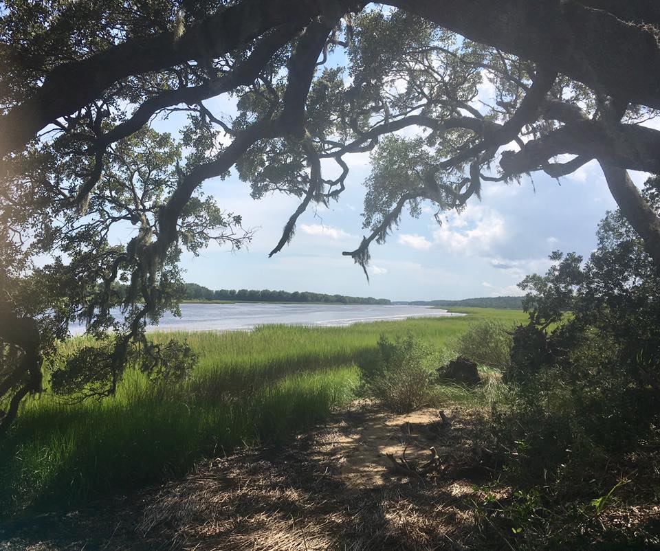 scnbta's tweet photo. https://t.co/Q9Y9H6XpRm #LABORDAY weekend-Campsites overlook Cape Romain Nat'l Wildlife Refuge & Bulls Bay Call 843-697-2075 #SCNBTA #SCPIA https://t.co/5bgyFX1g19