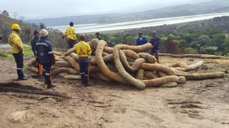 wo_fire's tweet photo. #GardenRouteRebuild
@environmentza invests into environmental restoration following the Knysna fires ➡️
https://t.co/cn7EB0Tcxv https://t.co/7O9ft6ZNOq