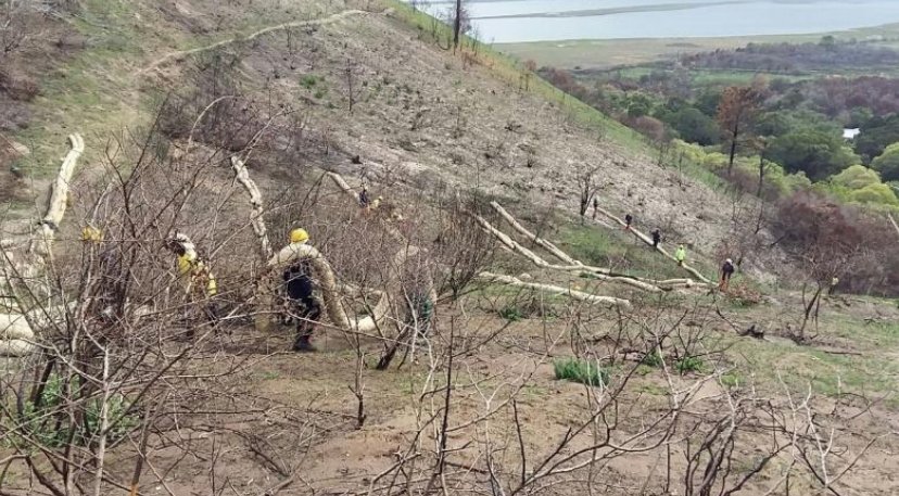 wo_fire's tweet photo. #GardenRouteRebuild
@environmentza invests into environmental restoration following the Knysna fires ➡️
https://t.co/cn7EB0Tcxv https://t.co/7O9ft6ZNOq