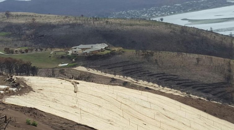 wo_fire's tweet photo. #GardenRouteRebuild
@environmentza invests into environmental restoration following the Knysna fires ➡️
https://t.co/cn7EB0Tcxv https://t.co/7O9ft6ZNOq