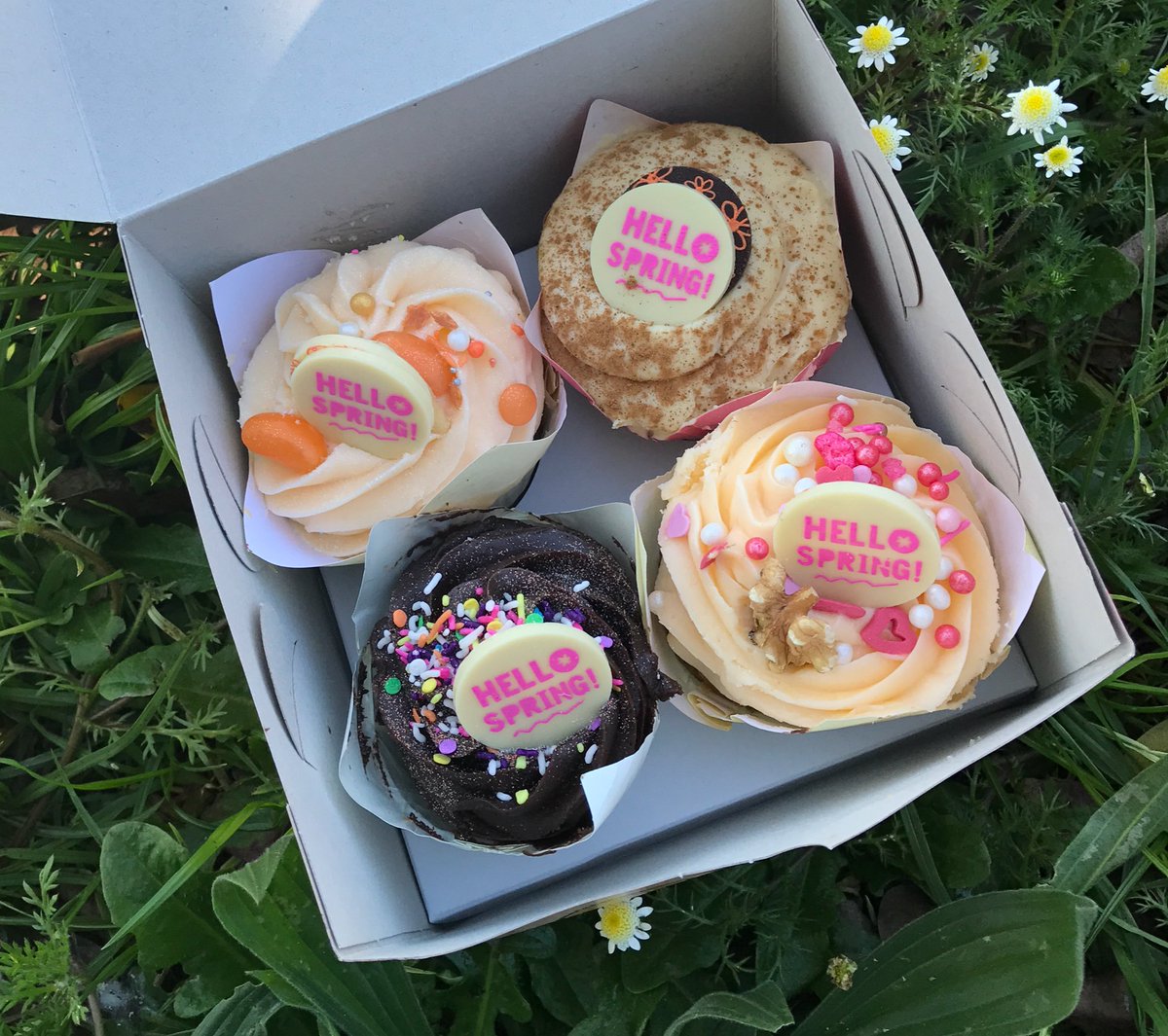 We celebrated Spring Day with some Spring cupcakes from <a href="/Velvetcakeco/">The Velvet Cake Co</a> !! 🌸