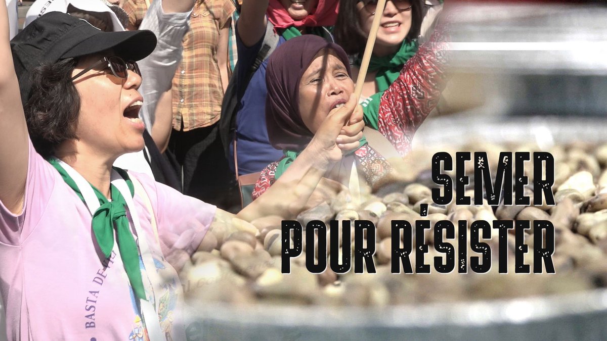 GRAIN_org's tweet photo. "Semer pour résister" documentaire réalisé par @zintv à la 7e conférence de @via_campesina https://t.co/DeM4Gmxfey #semences #7ConfLVC https://t.co/1aaiMTyjb2