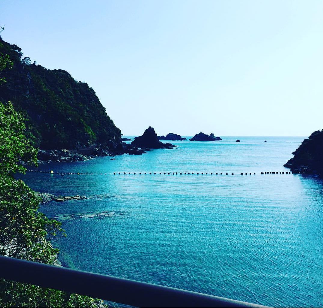 Lindapenny1960's tweet photo. #BlueCove! Dolphins Swim Free! #tweet4Taiji Thanks to #DolphinsProject for being on The Ground! https://t.co/6NDHDsjrLi https://t.co/hBjM13cHeP