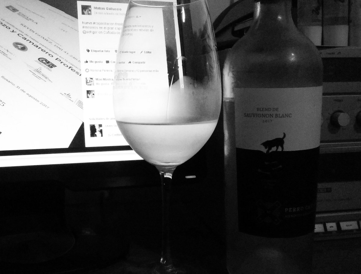 Perro que te quiero blanc! Cuanta frescura este 2017!!!