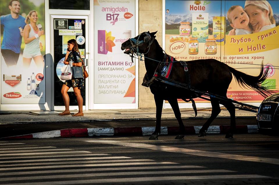 Ауди, он и она .. 

Photo credits: Tomislav Georgiev