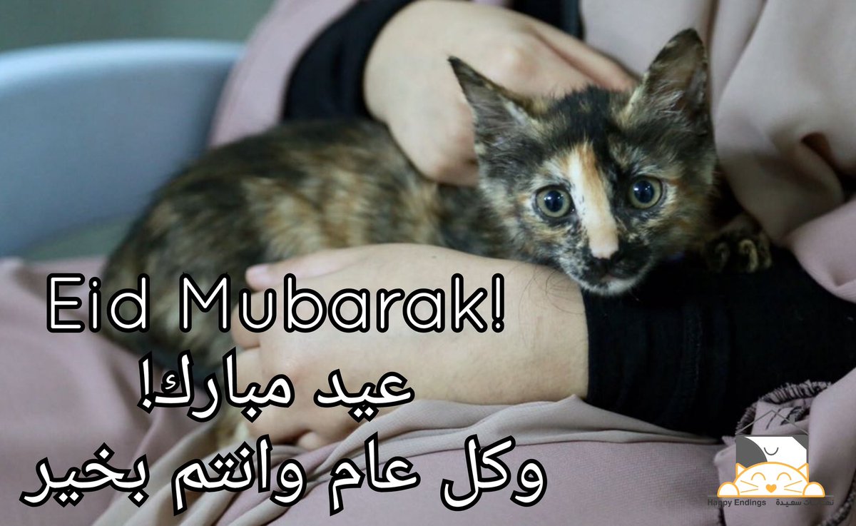 نهايات سعيدة (@happy_rescues) on Twitter photo 