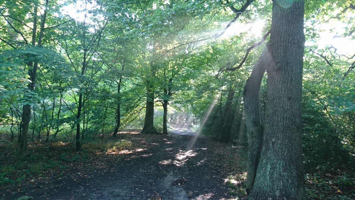 KatEllis37's tweet photo. #Autumn sunshine on #HadleyCommon https://t.co/ssYCcxFCAc