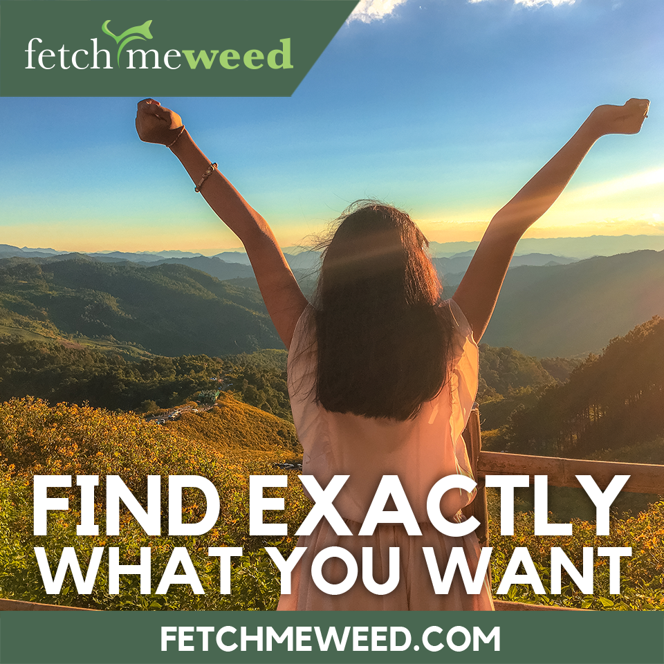 FetchMeWeed's tweet photo. Find out what you want.
https://t.co/5eBfjbnfUJ https://t.co/YfwvVvGyaM