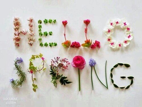 Madison_Manor's tweet photo. ***Happy Spring Day*** https://t.co/l55EhMEgW0