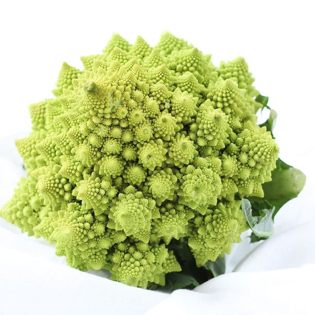Here is a picture of some Romanesco Broccoli for no other reason than that it looks really cool!  Eat your greens kids😉⠀
⠀
#foodporn #tipps…