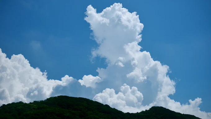 夏 