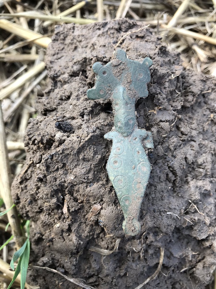 megadonkeys's tweet photo. Merovingisch fibula just found !! Absolute beauty ... #metaldetecting find #artefact #merovingisch brooch #netherlands https://t.co/P4rX4X7sIq
