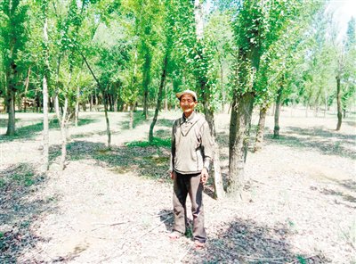 about planting trees about planting trees