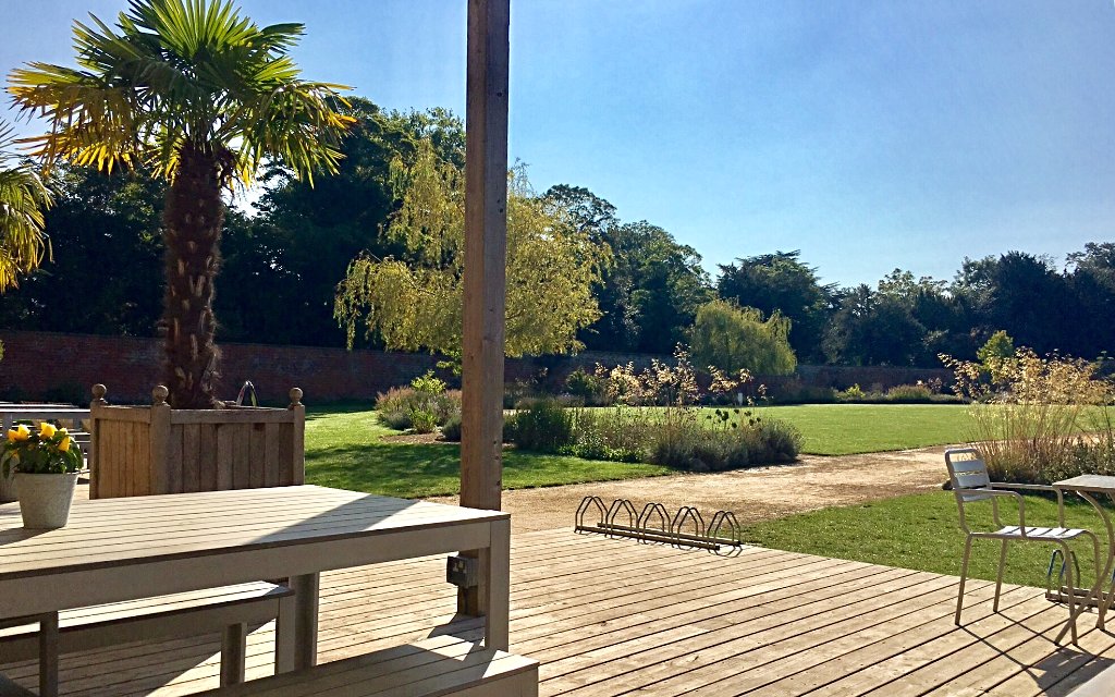 The Medicine Garden tweet media