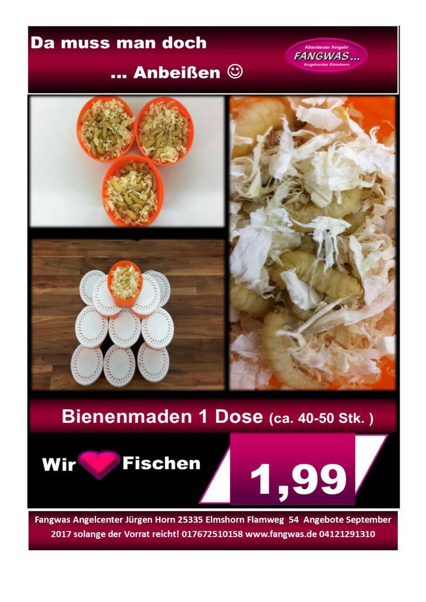 AngelsportSH's tweet photo. Unsere Angebote im September. Schlagt zu! (1/2) https://t.co/CYmOO6mBRM