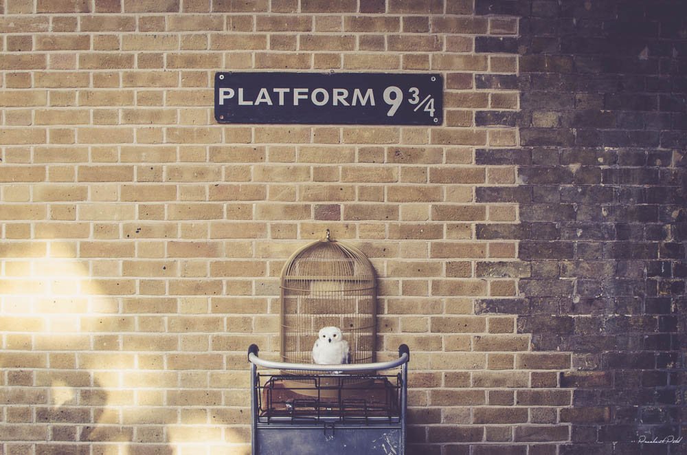Feltrinelli_'s tweet photo. Harry, Hermione e Ron erano alla stazione di King's Cross per iniziare la loro avventura a Hogwarts, proprio 19 anni fa.

#BackToHogwarts https://t.co/K8ApJskSWS