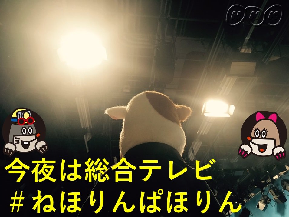 Nhk ねほりんぱほりん Twitter પર Time Table 9 1 金 総合テレビ 22 00 ウシ澤典夫 22 09 ヒモ登場 22 28 ヒモを飼う女の夢 22 32 恐竜が行く人形劇舞台裏 22 39 薬物の恐怖 22 47 重大発表 22 50 おまけ 大人の絵描き歌 ねほりんぱほりん