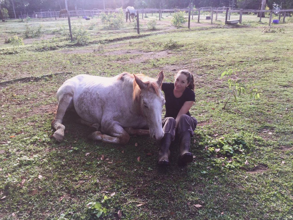 Pangeawander's tweet photo. Farm Life https://t.co/uRnnz9tFOA https://t.co/sLAZYc2Uzh