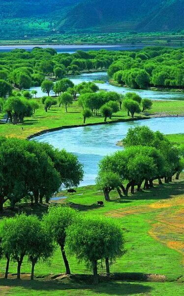 한울리.{☞♥☜} (@ynk1007) on Twitter photo 