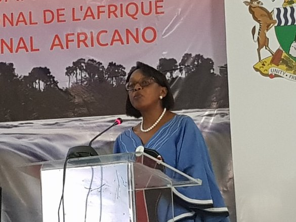 WHOAFRO's tweet photo. Dr @MoetiTshidi extended sincere gratitude to HE Pres Mugabe, @DrDParirenyatwa & Hon MoHs & Heads of Deleg in her closing remark at #AFRC67 https://t.co/pjyddVuUJe