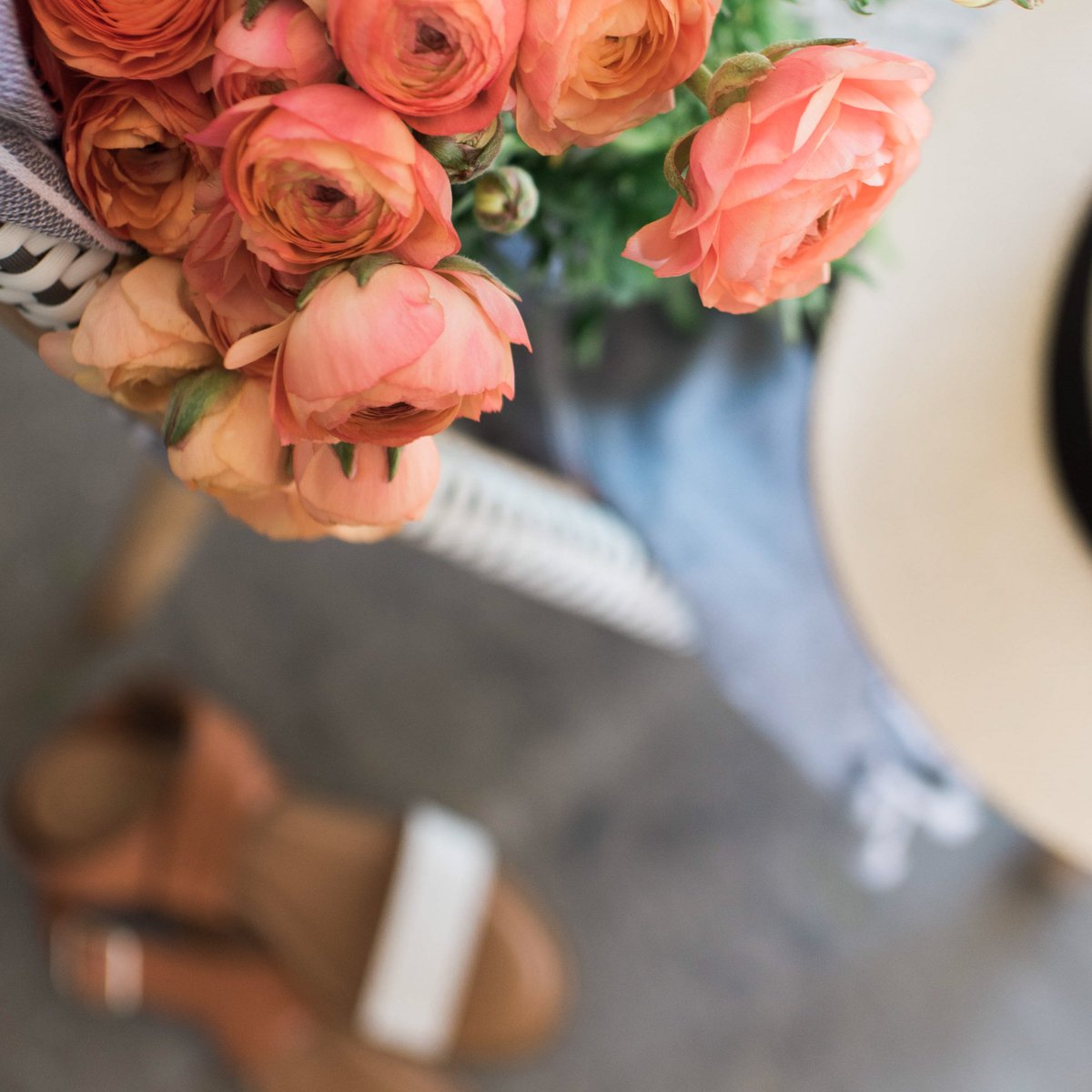 The Cork & Bottle Paddington tweet media