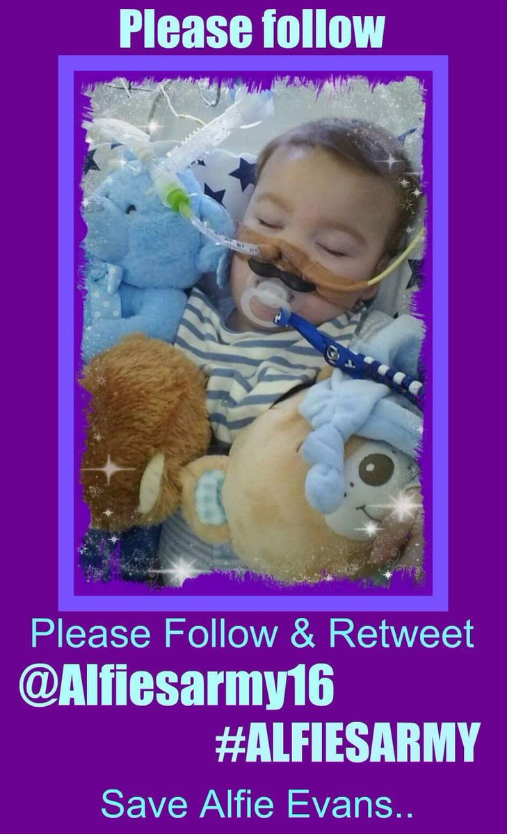 rcascaffolding's tweet photo. @Alfiesarmy16 @Caspar_Lee @JeremyClarkson @Jhus @MrDDyer @EthanDolan @elissakh @Fearnecotton @stephenfry please help #SaveAlfieEvans https://t.co/5DpQQTjOkb