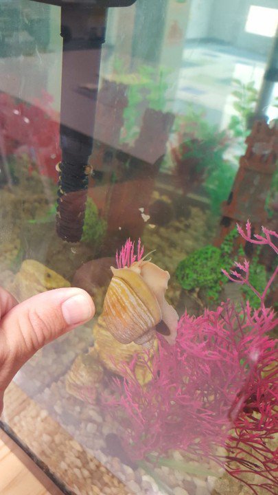 CHES STEAM Center tweet media