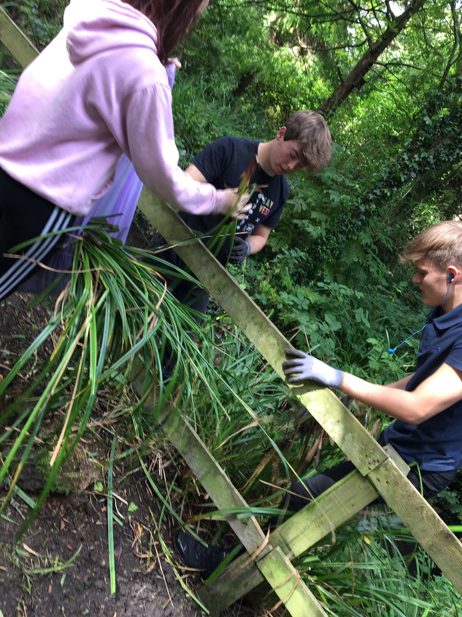 NCSAphrodite's tweet photo. Just as we thought we were nearly done... we found the other side of the pond... #ncs https://t.co/20r6fzm4bp